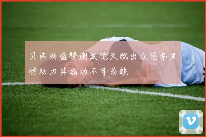 贝弗利盛赞谢泼德天赋出众范弗里特助力其成功不可或缺